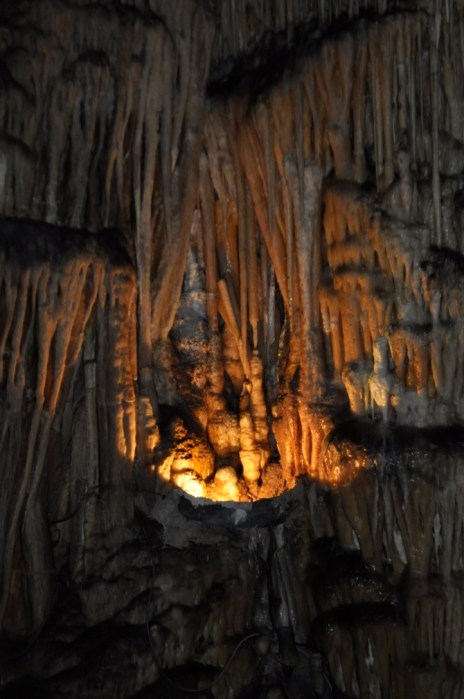 unadjustednonraw_thumb_3447