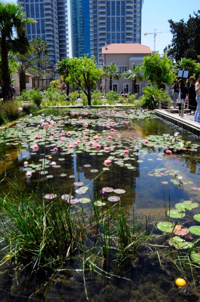 UNADJUSTEDNONRAW_thumb_2d98