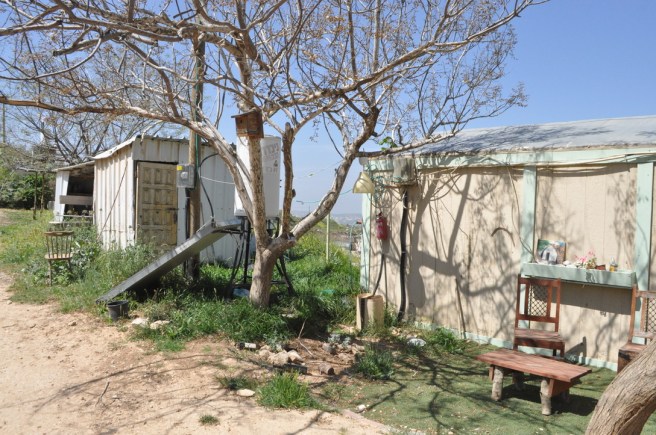 UNADJUSTEDNONRAW_thumb_39d2