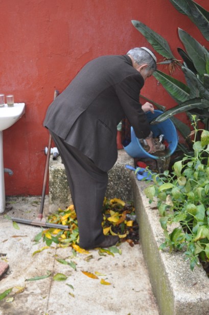 UNADJUSTEDNONRAW_thumb_3b16