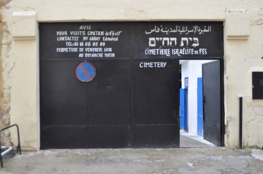 UNADJUSTEDNONRAW_thumb_3ba0