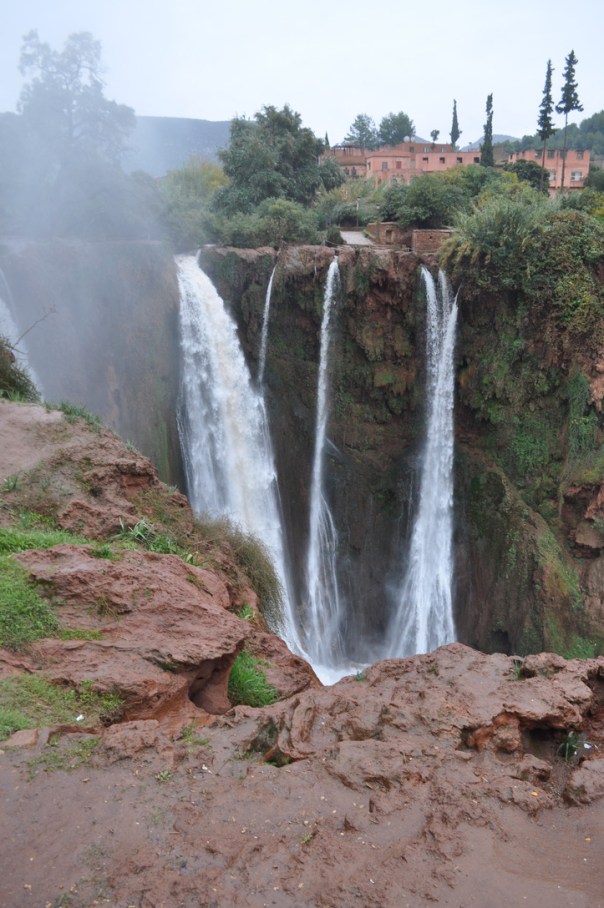 UNADJUSTEDNONRAW_thumb_3c1b