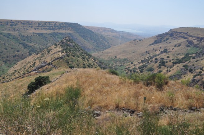 UNADJUSTEDNONRAW_thumb_3db1