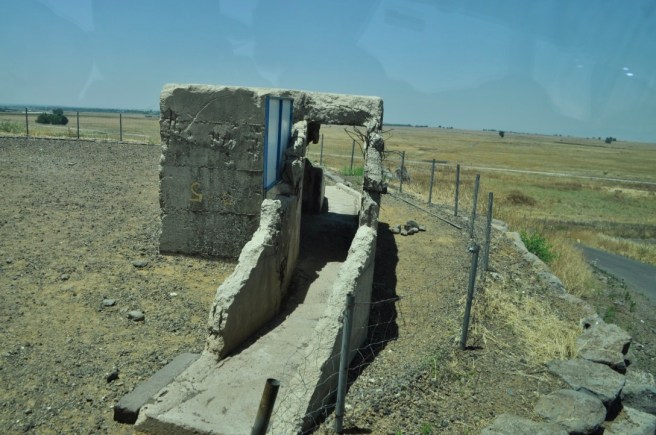 cowLMeW5SmOqnS6mwT+dzg_thumb_3dc9