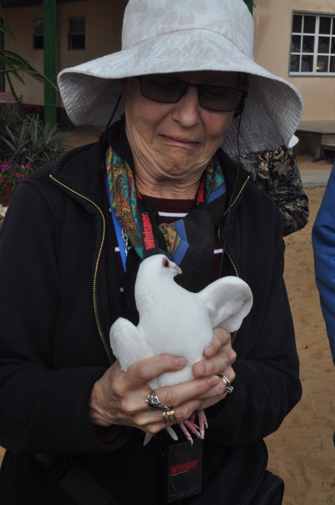 192E520C-57AC-48F5-A565-451D9C012C72_1_105_c