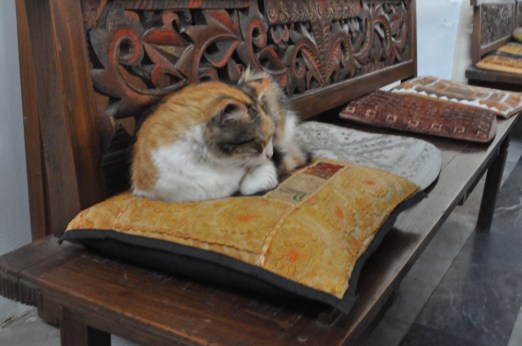 500093A9-8788-4286-A7C7-7DCBBAB1638E_1_105_c