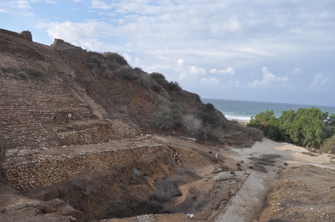 6B5AC7E7-6BA4-40D7-B946-9D6F89DDFA37_1_105_c