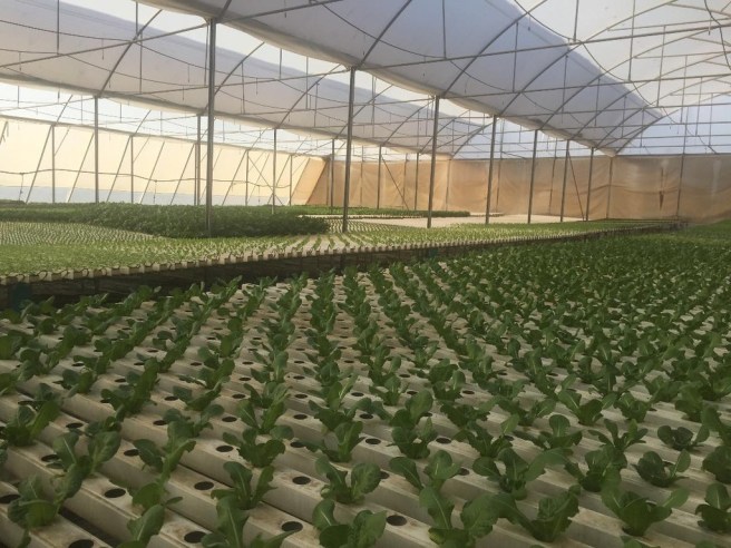 8F589E6F-A712-4438-A3C1-3F8CD2C170E8_1_105_c