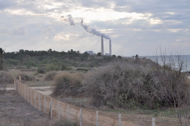 C3BC2435-80FC-41F5-B759-185F8041D83E_1_105_c