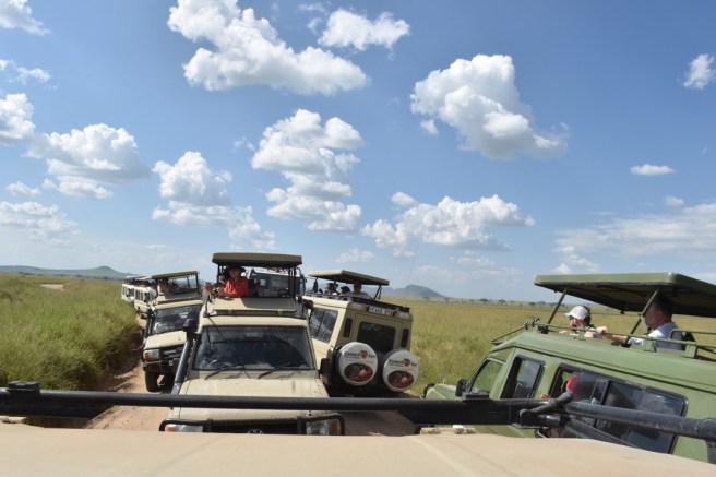 4466AA35-5F5F-4060-9427-E38DA7D8716B_1_105_c