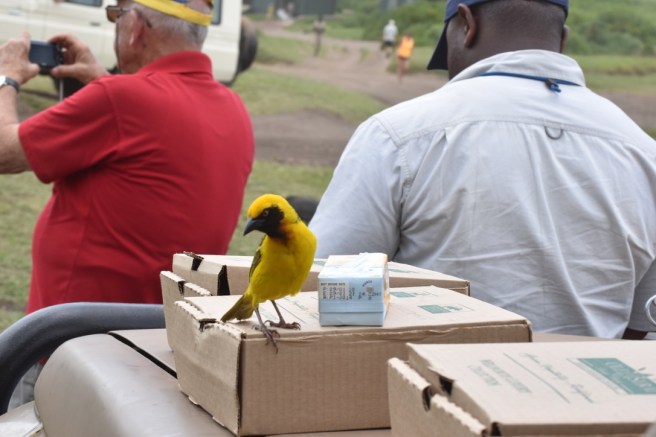 96851520-21D4-4262-A6ED-CDA047A8843E_1_105_c