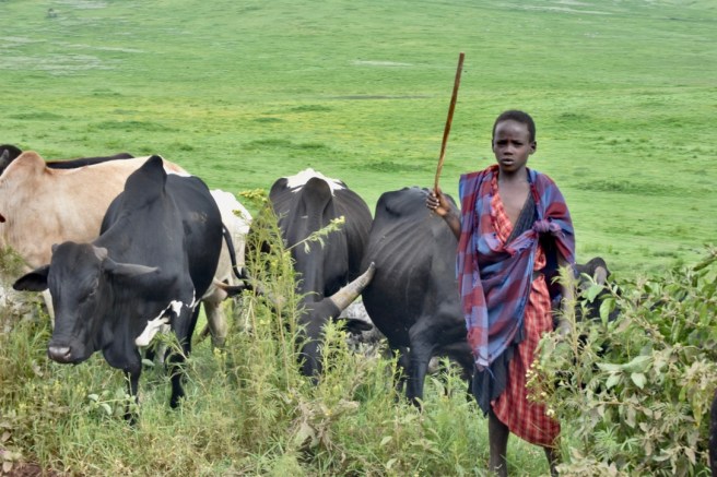 198CBA6B-27A2-4EAF-B395-01111D74CAF9_1_105_c