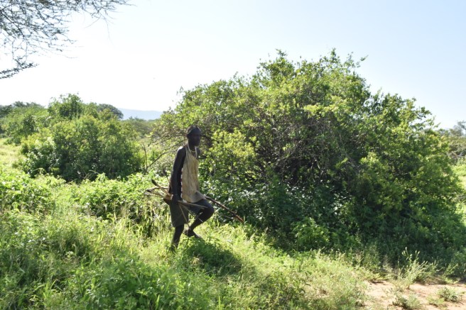 2AC92201-D6FA-4F82-B428-A1A22AD09243_1_105_c