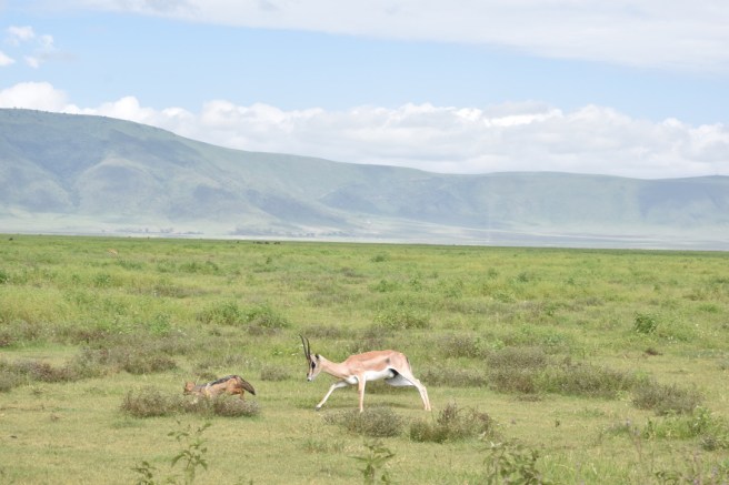 432E063F-40B4-4ED3-A956-E16FF4B1CE7A_1_105_c