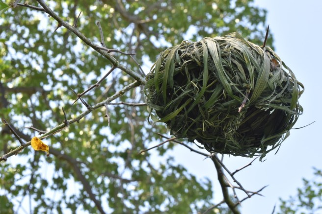 990D736E-6685-4A9C-9909-E2906B788CBC_1_105_c