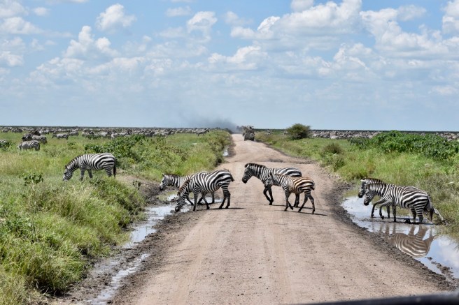 A29C2AF6-0FFC-471A-A5E2-F6296B0F8700_1_105_c