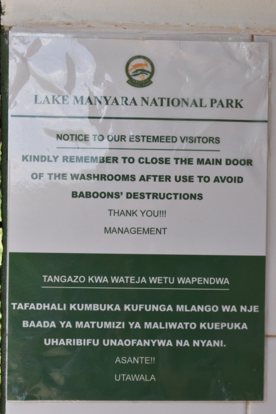 BB466CE9-28B7-49DC-9577-262FD7CB5891_1_105_c