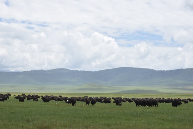 CFBDFE40-2CA3-411B-AD45-9B0B44FC2C98_1_105_c