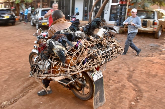 F009E088-85C9-4D74-92DC-7B43C604121F_1_105_c